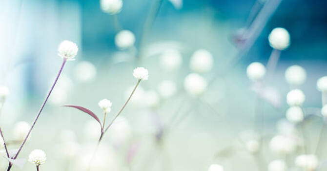 5 Ways to Beat Spring FOMO and Actually Enjoy the Season