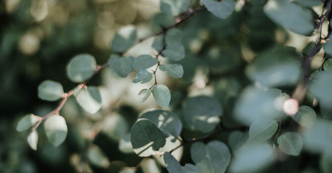 Social Work/Psychotherapy Intern