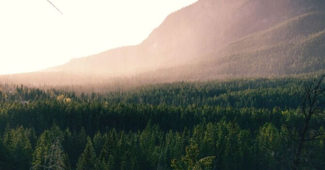 Support/Psychoeducation Groups